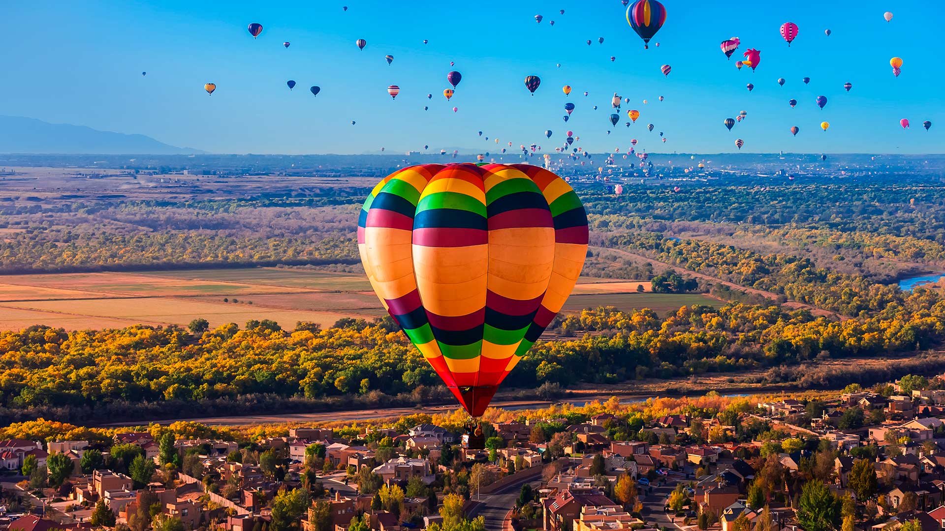 NM Balloon Fiesta Bing Wallpaper Download