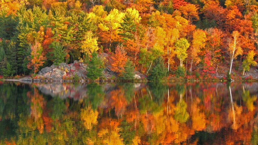 October Morning Bing Wallpaper Download