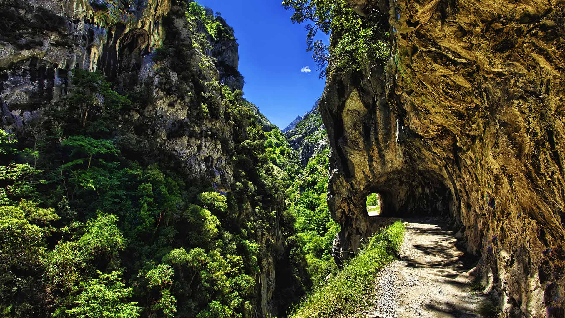 Cares Trail Bing Wallpaper Download