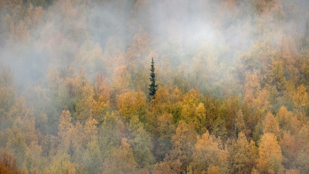 Yukon Fall Bing Wallpaper Download