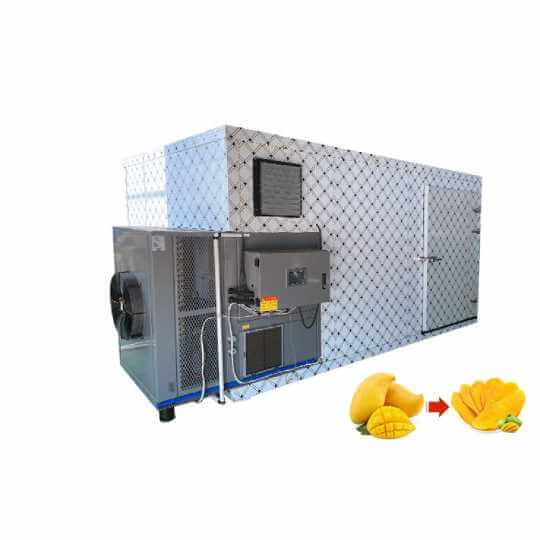 Mango Drying Machine Baixin