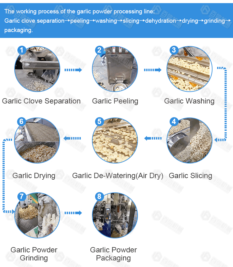 Automatic Continuous Garlic Processing Line Baixin