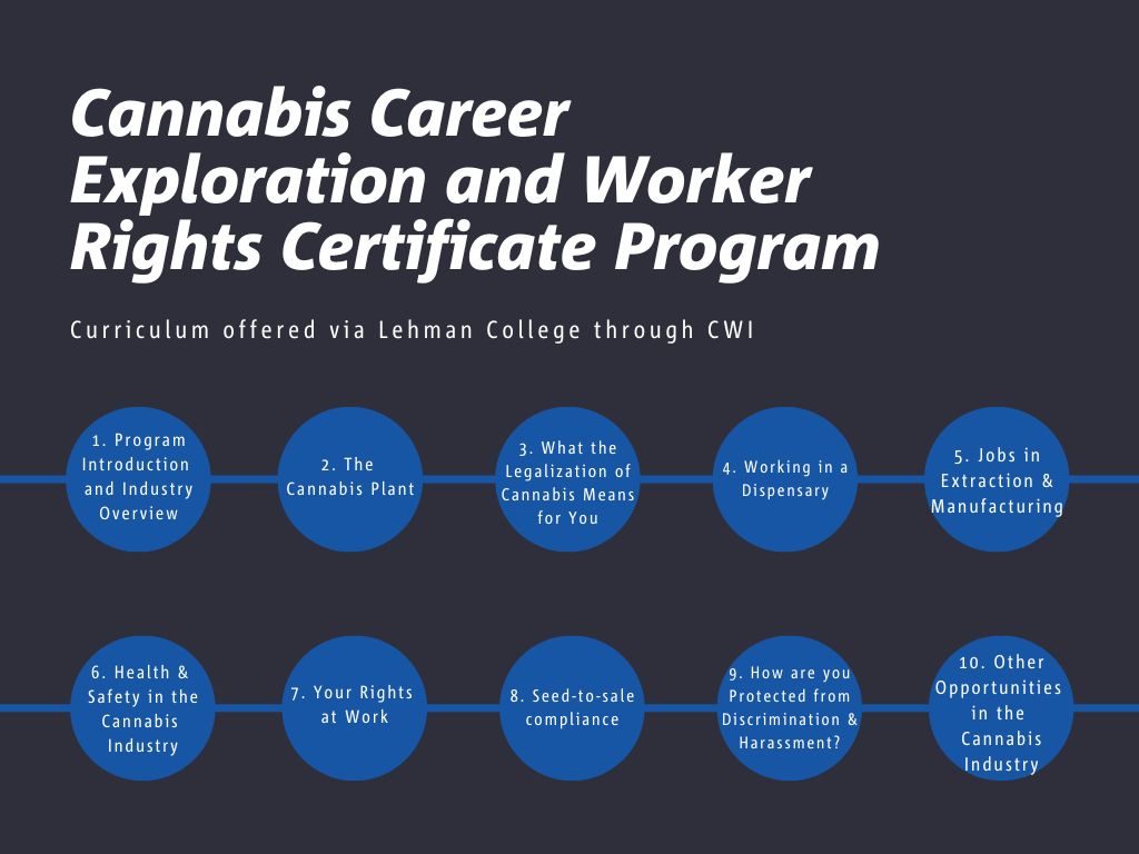 Lehman College offering credit for pilot cannabis career certification