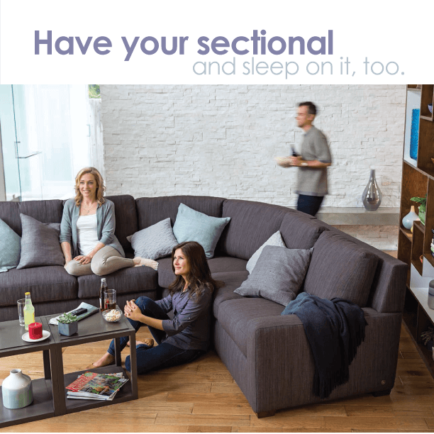 The Comfort Sleeper by American Leather