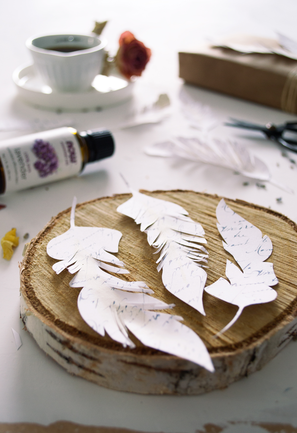 DIY French Script Paper Feathers free printable
