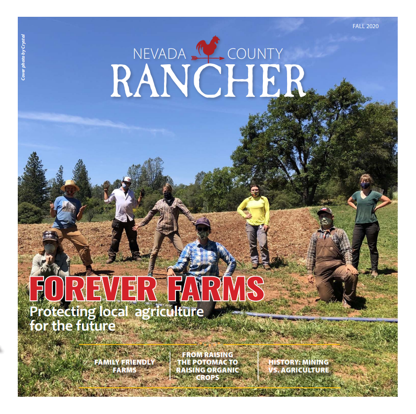 Forever Farms Takes Community Supported Agriculture to the Next Level Bear Yuba Land Trust