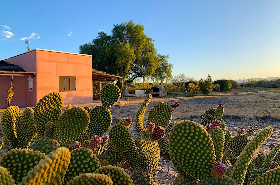 Home & Vineyard for Sale in San Rafael, Mendoza