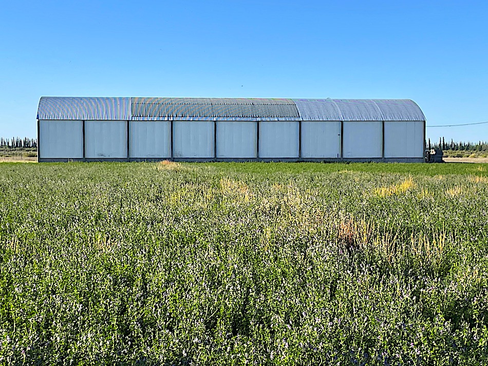 Argentina Farm Home for Sale in San Rafael, Mendoza