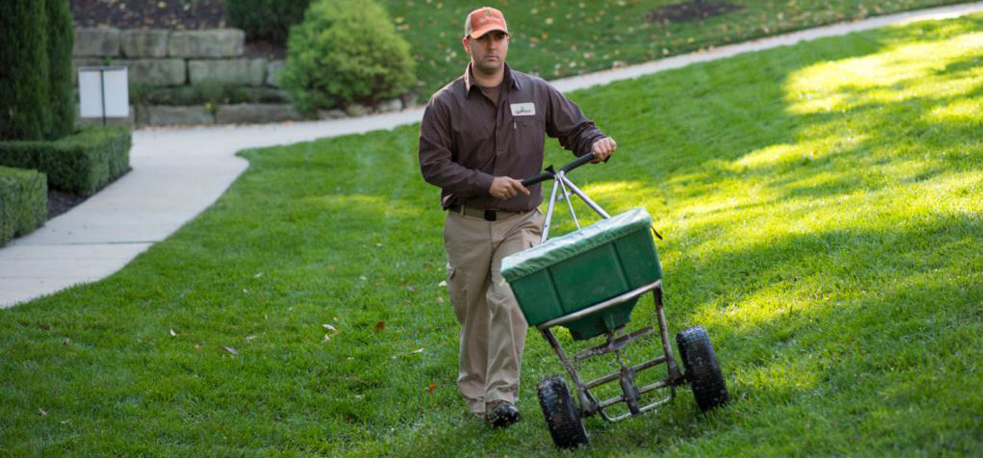 Top 10 Lawn Problems and Solutions By The Blade