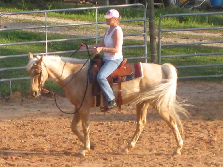 Horse Boarding in