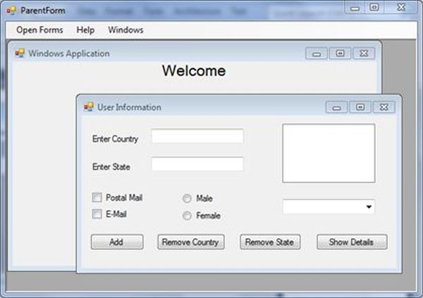 Building MDI WinForms Application using C