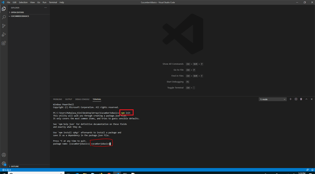 CucumberJS Basics In Depth (Visual Studio Code Editor)