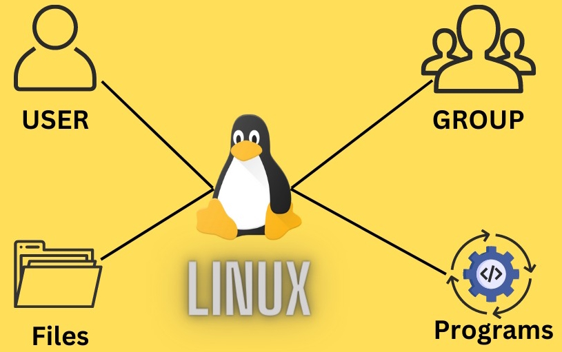 What is Linux User Management Mastery?