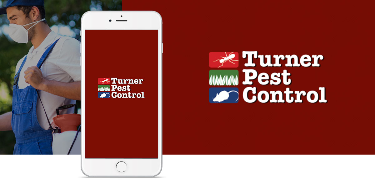 Bugs Burney Pest Control Amarillo Tx / A family owned and operated