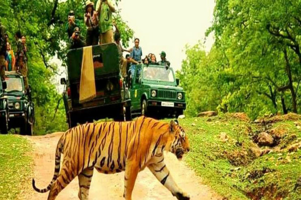 Nagpur to Pench taxi service [50 0ff] CabBazar