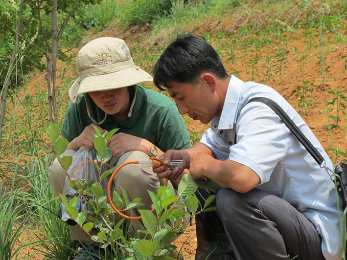 Helping plant protection officers make a difference to agricultural