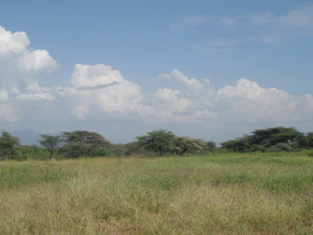 Restoration of degraded grassland can benefit climate change mitigation