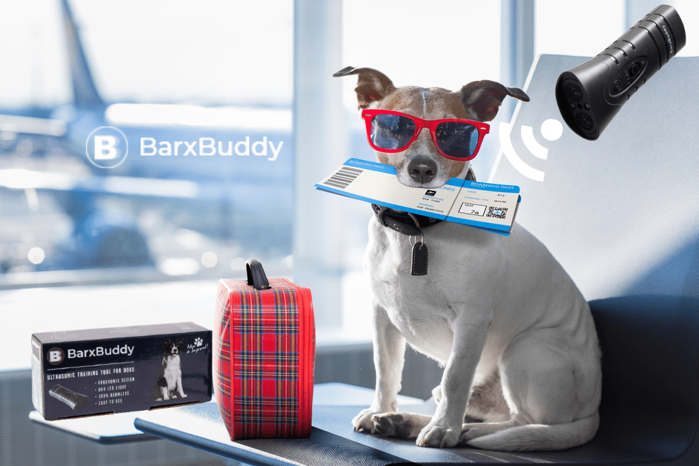 4 Reasons Why People Love Using BarxBuddy When Traveling With Their Dog