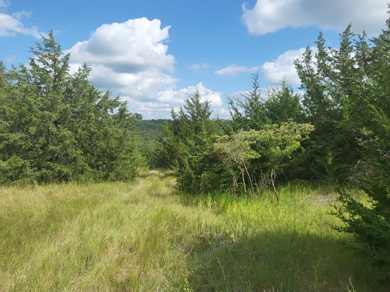 Lot 1588 in Block 14, Devils Nest, Knox County, Nebraska Cabin Realty