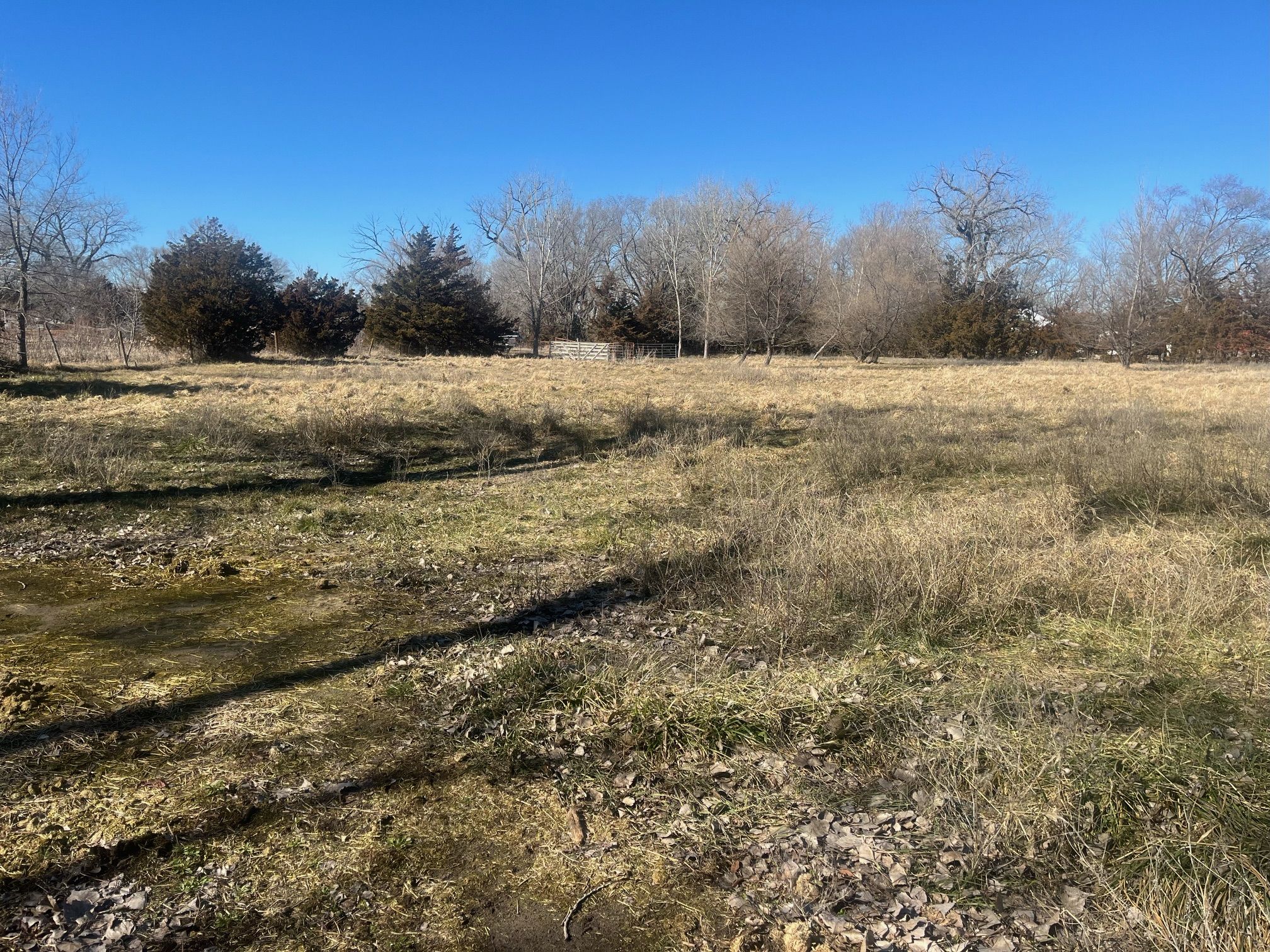 1.13+/ Acres, within the Village of Ericson, Wheeler County, NE