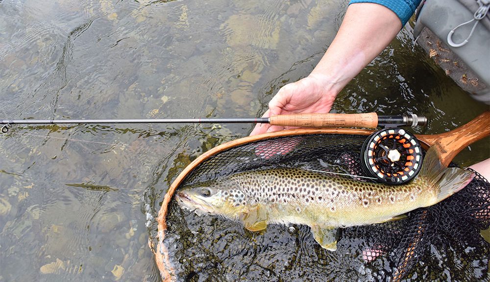 Smoky Mountain Trout Tournament 2023 Fish & Win — 2019 Spring Smoky Mountain Trout Tourney!