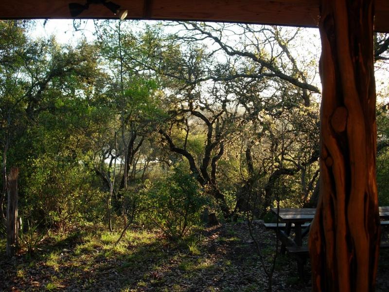 Frio River Cabins Photo Gallery Frio River Cabins