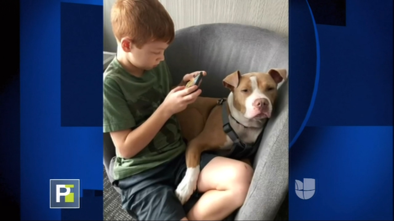 Imágenes de Impacto en Secreto a Voces en Primer Impacto