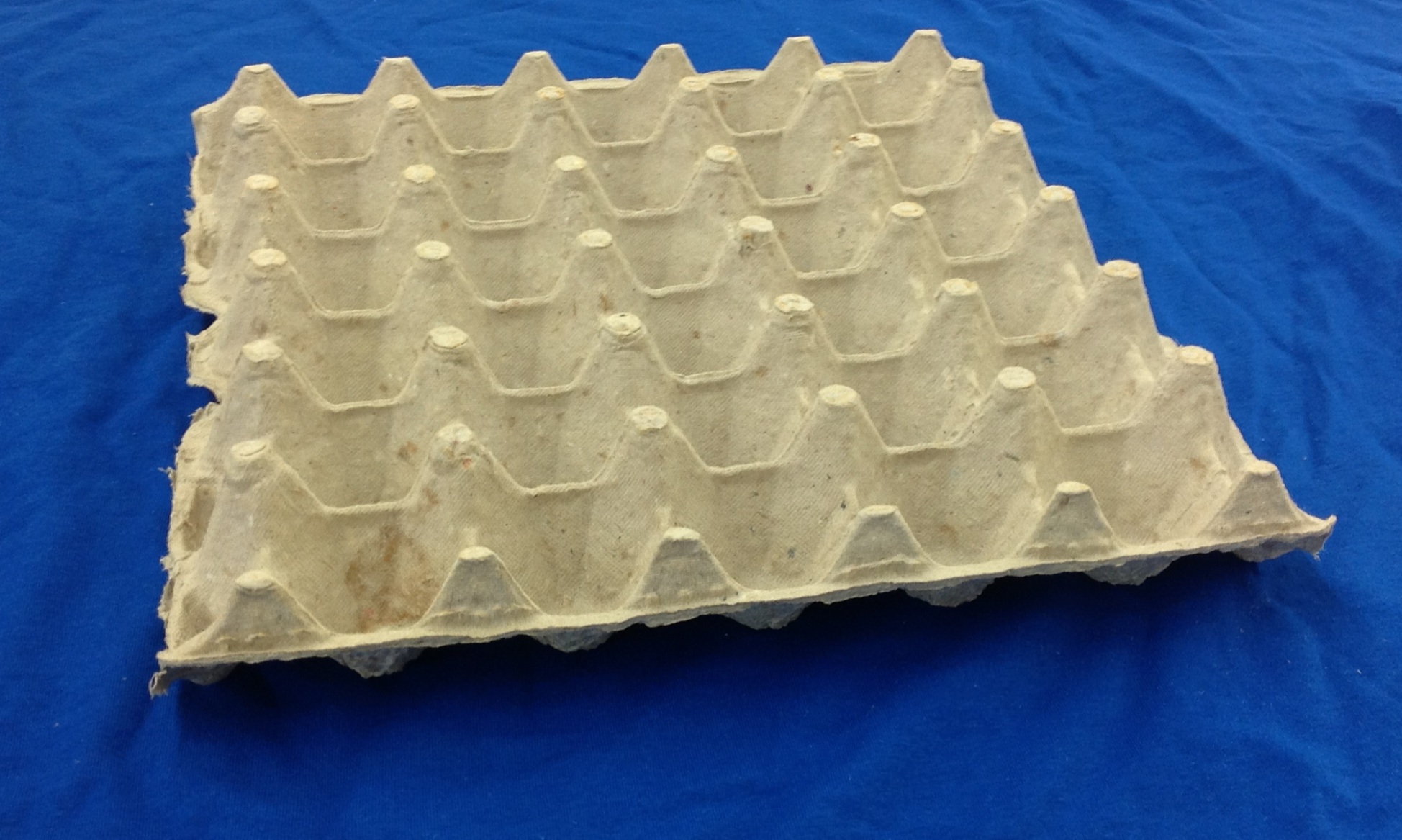 Egg Flat (14 Count) Cackle Hatchery