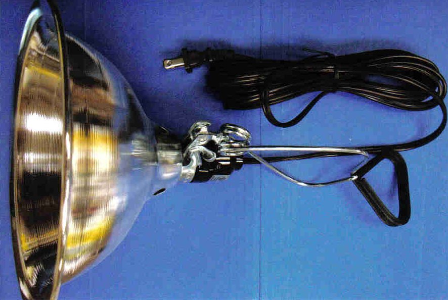 Chicken Brooder Lamp HeavyDuty Cackle Hatchery®