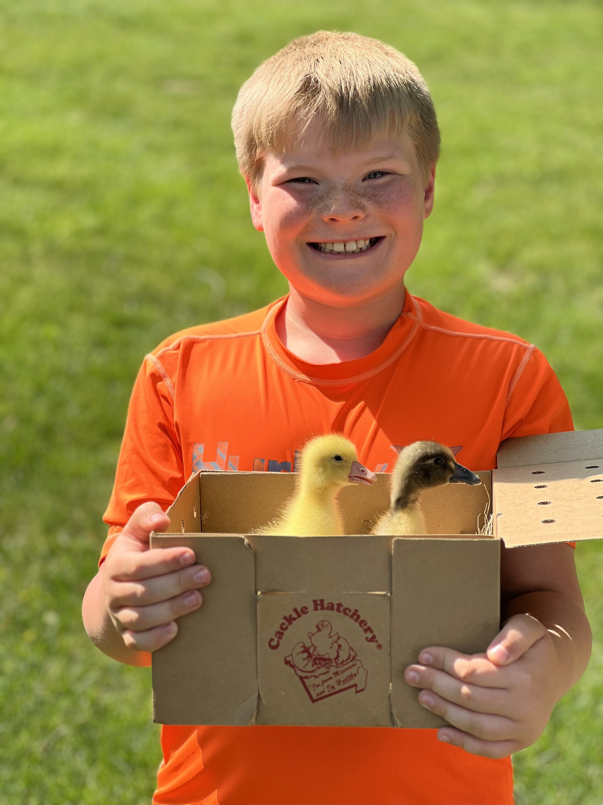 2023 Cackle Hatchery Photo Contest Winners and Runner Ups Cackle Hatchery