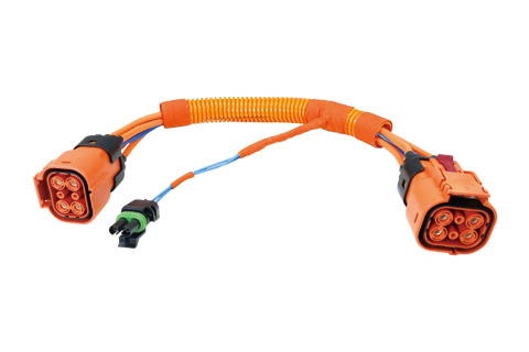 EV Cable - Cactus, professional wire harness factory.