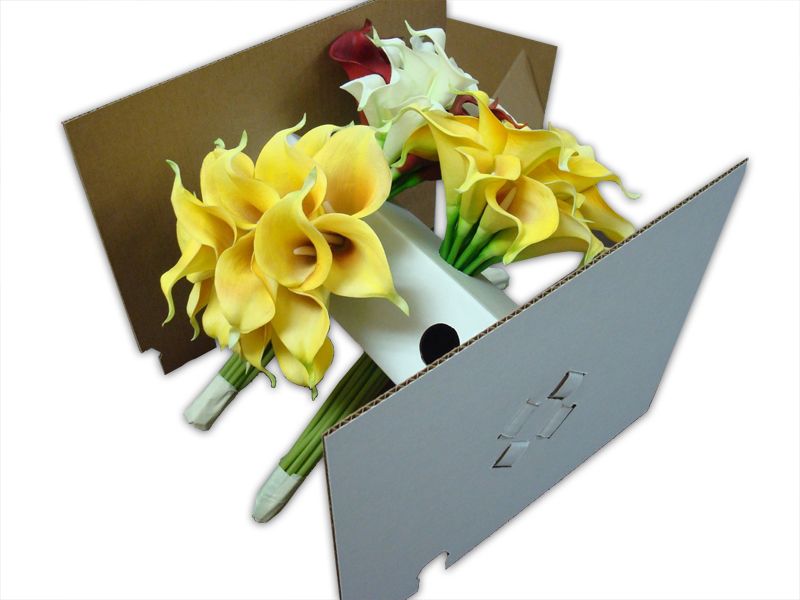 Get Cactus Containers Die Cut Corrugated Inserts