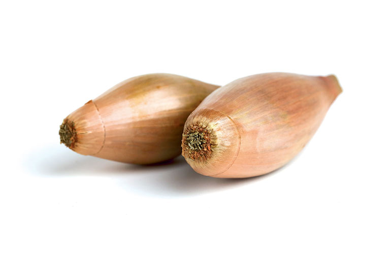 Echalion Banana shallot sets for sale Elongated onion variety CADIOU