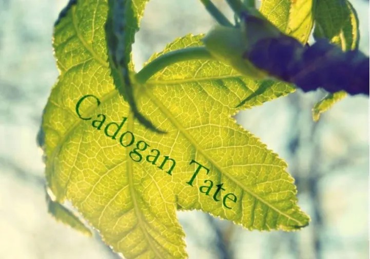 Shipping Cadogan Tate