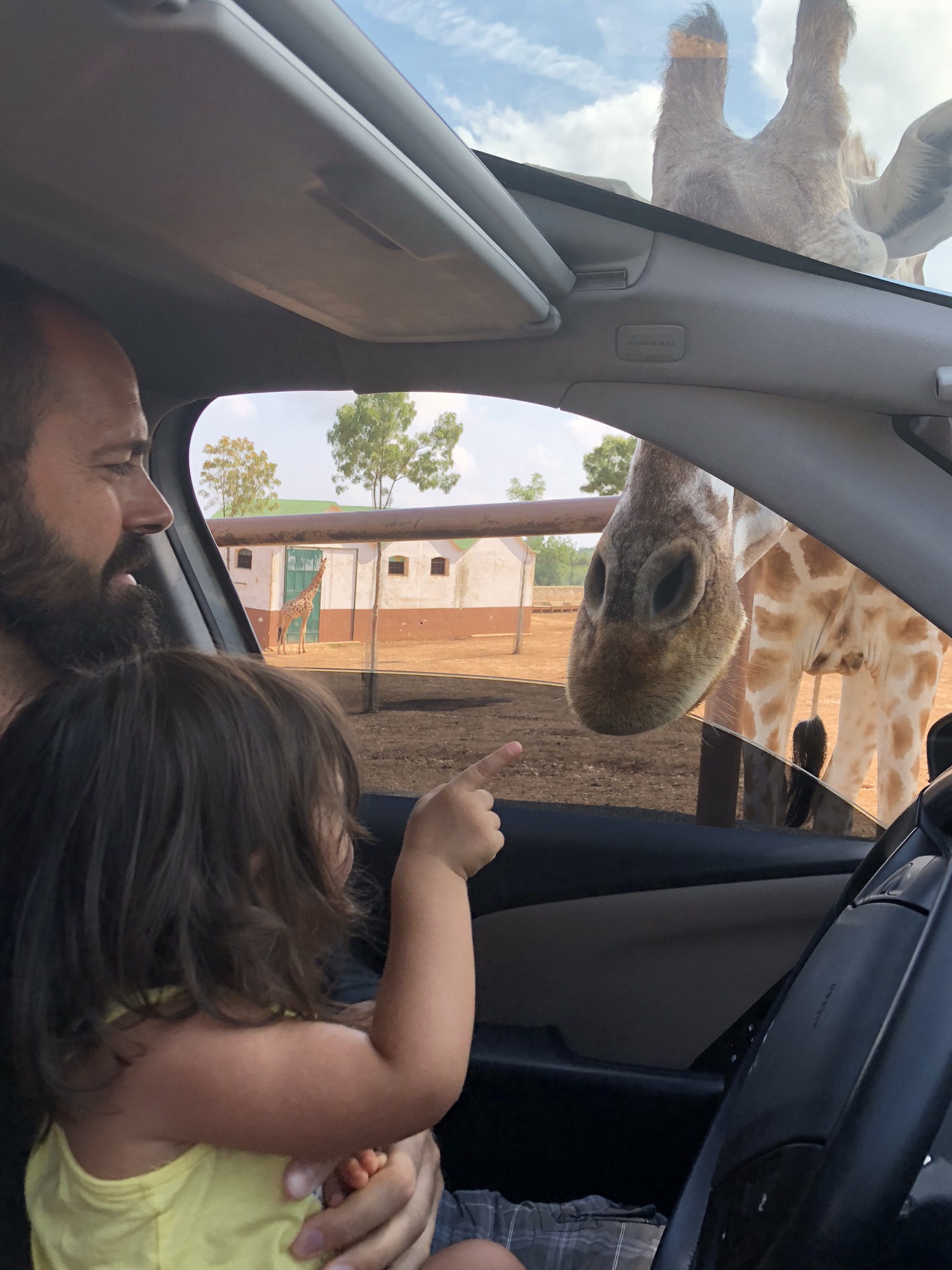 Fasano visita allo zoo safari con i bambini caffeblog