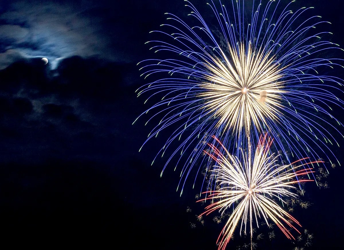 Help Your Dog Deal with Fireworks Companion Animal Fund