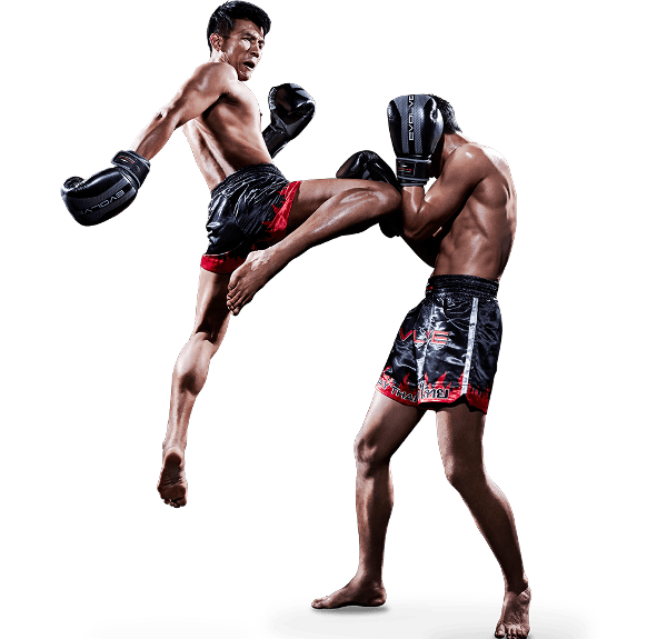 MMA Cages and Boxing Rings Cage Hire