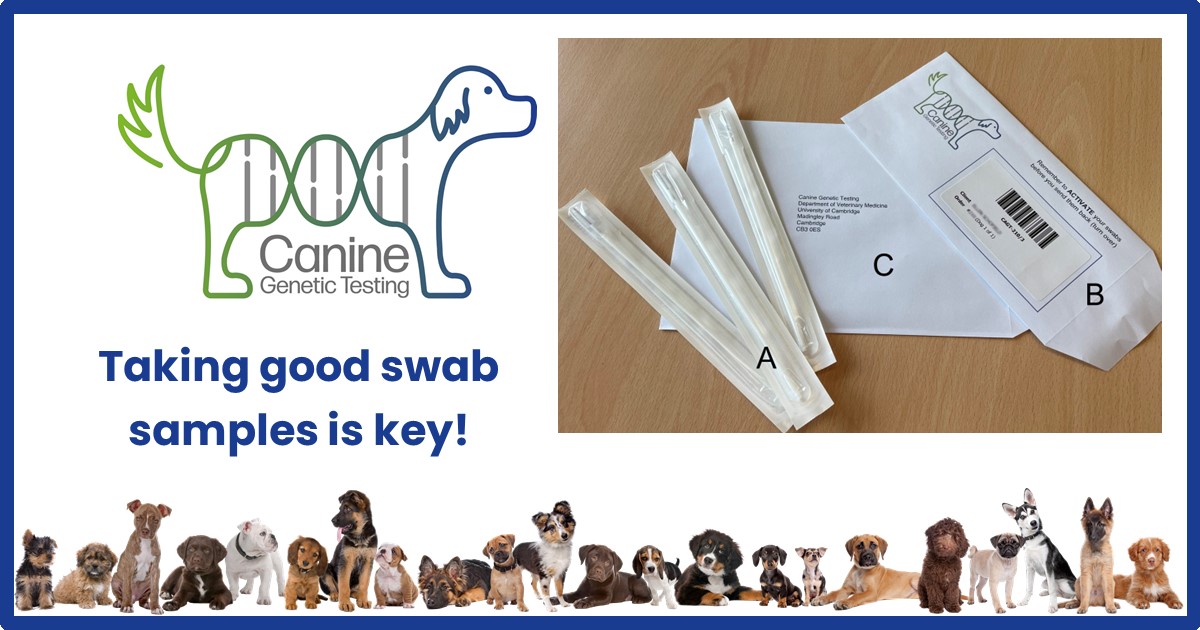 Taking Good Swab Samples Canine Testing