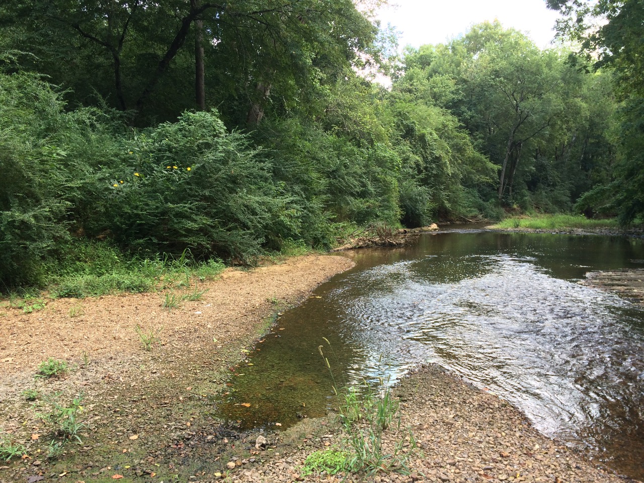 Roper Road Cahaba Blueway Initiative
