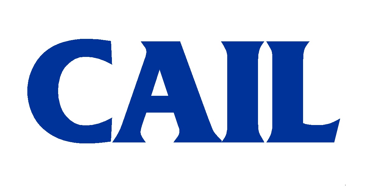 4 Ways Silicon Valley Changed How Companies Are Run | CAIL