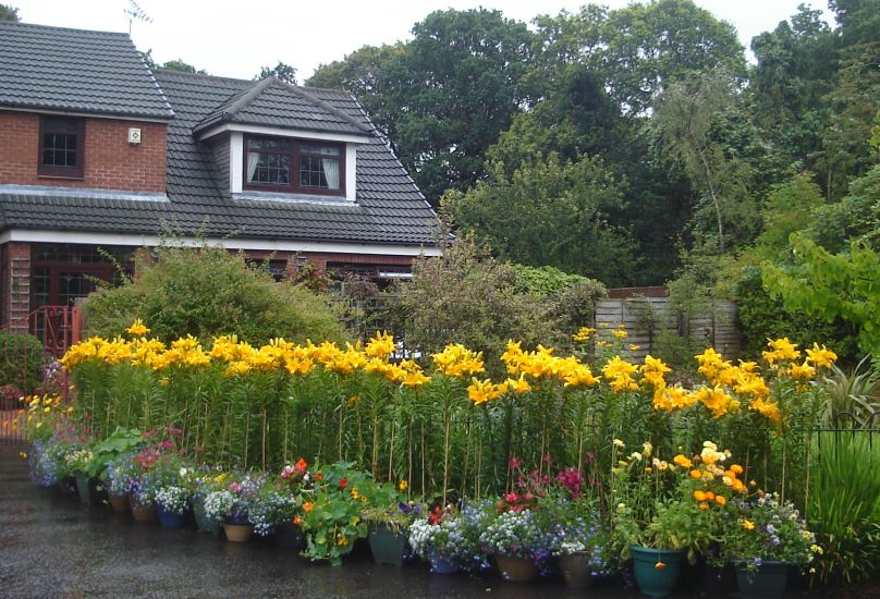 Photographs and map of Dawsholm Park in the NW of Glasgow