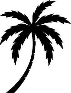 Palm Tree Template