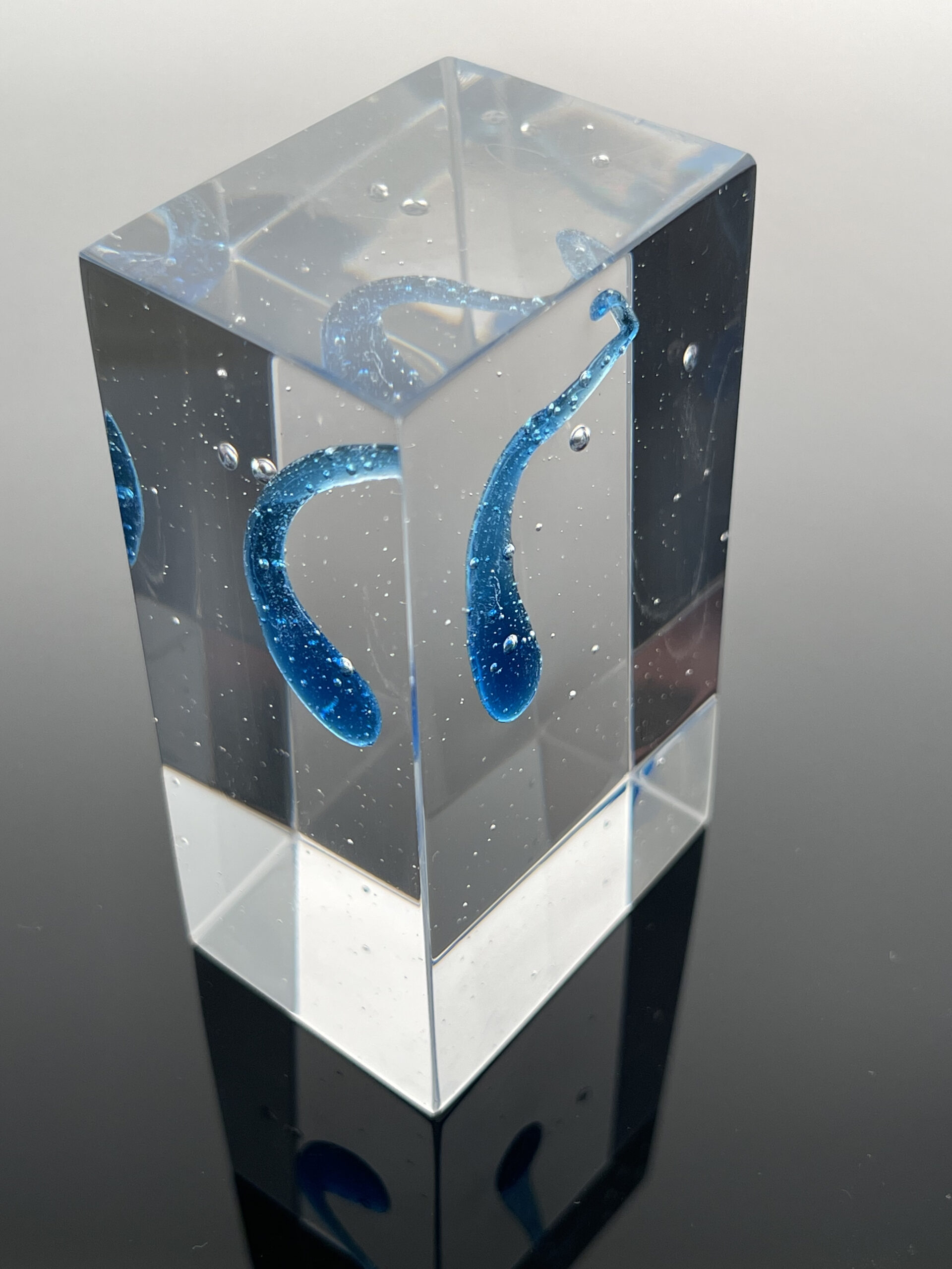 Prince Rupert’s Drop Cal Breed