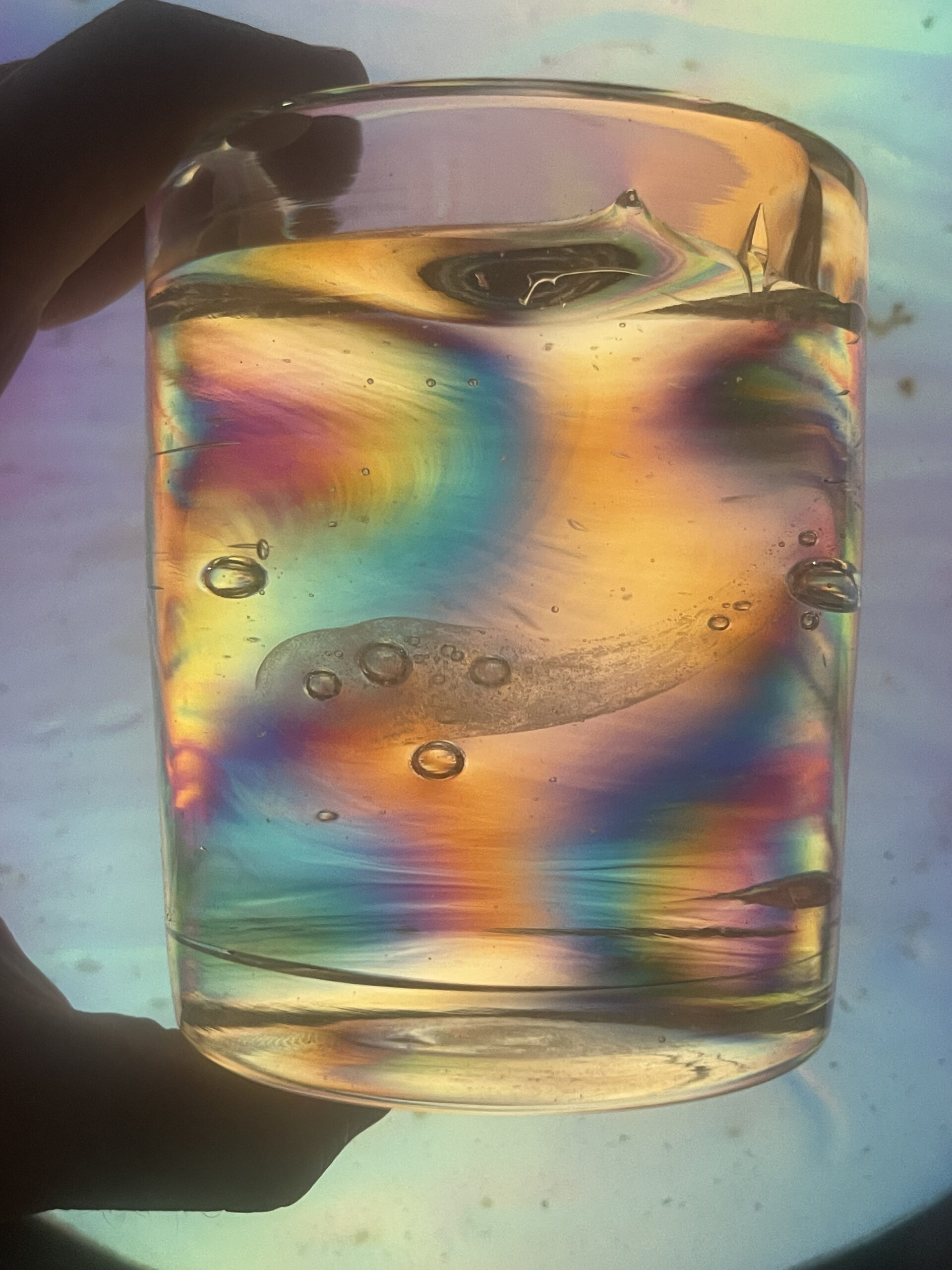 Prince Rupert’s Drop Cal Breed