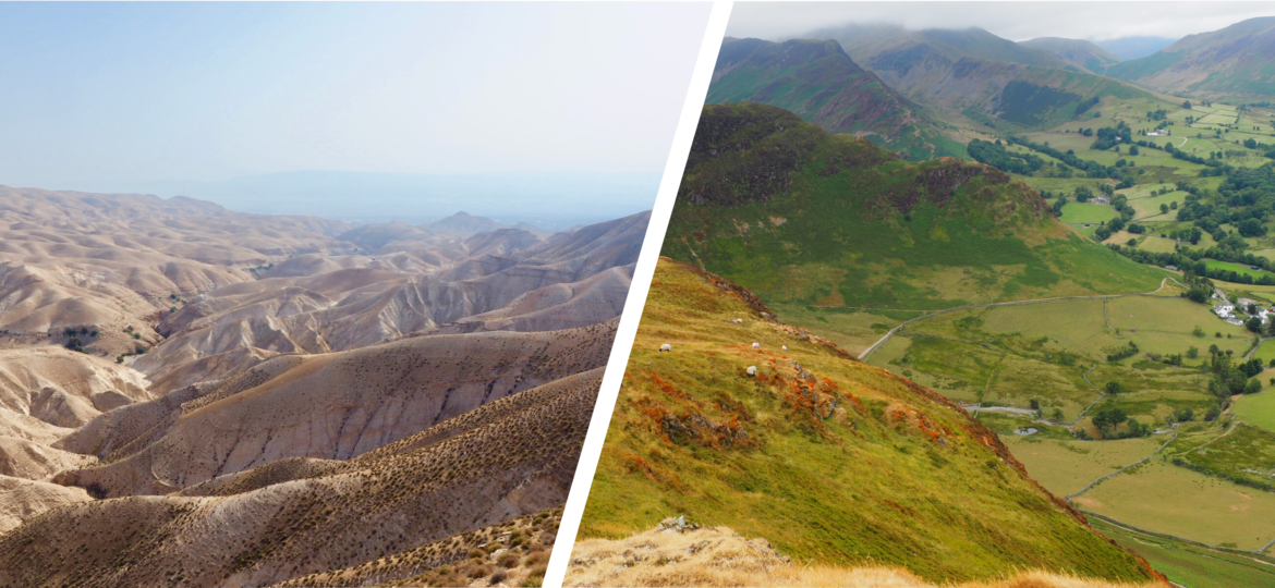 The Green Pastures of Psalm 23 Caleb's Journal