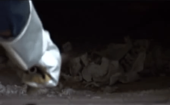 CONFESSIONS OF A FUNERAL DIRECTOR » 23 Photos of the Cremation Process