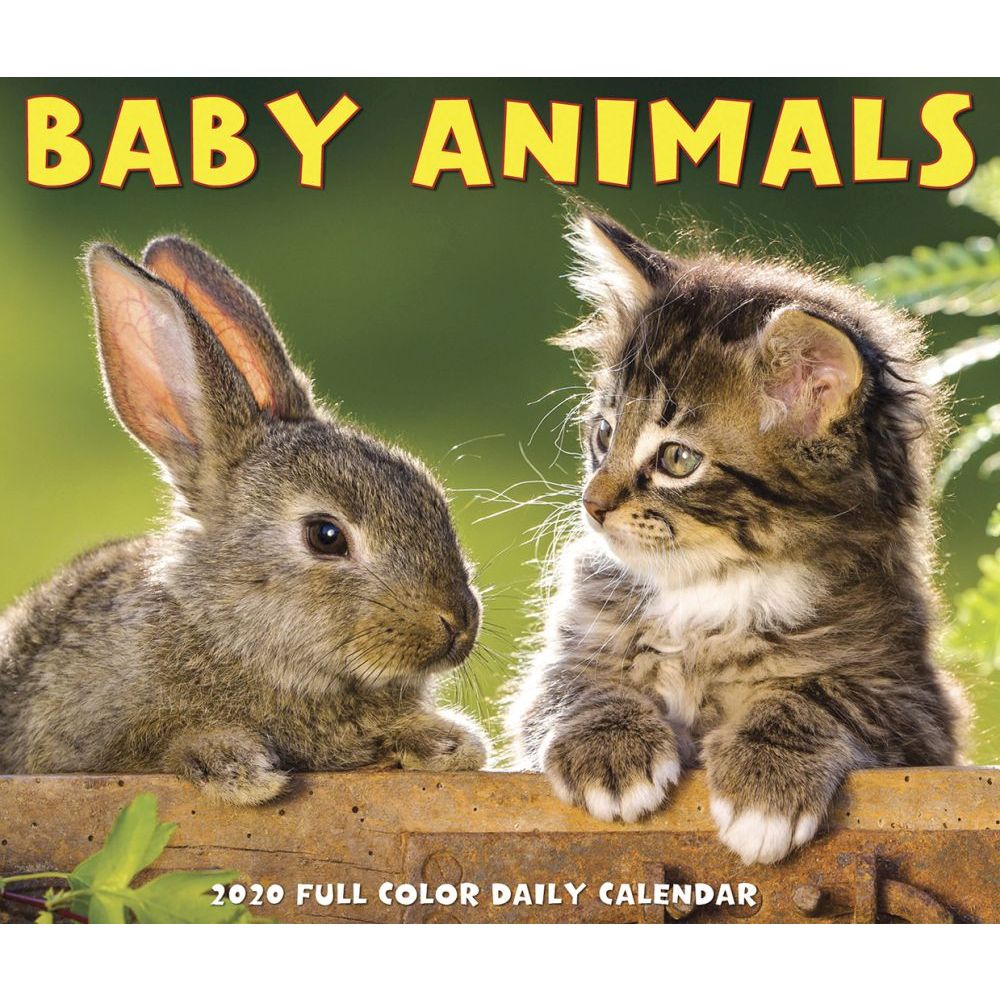 Baby Animals Desk Calendar 2020 eBay