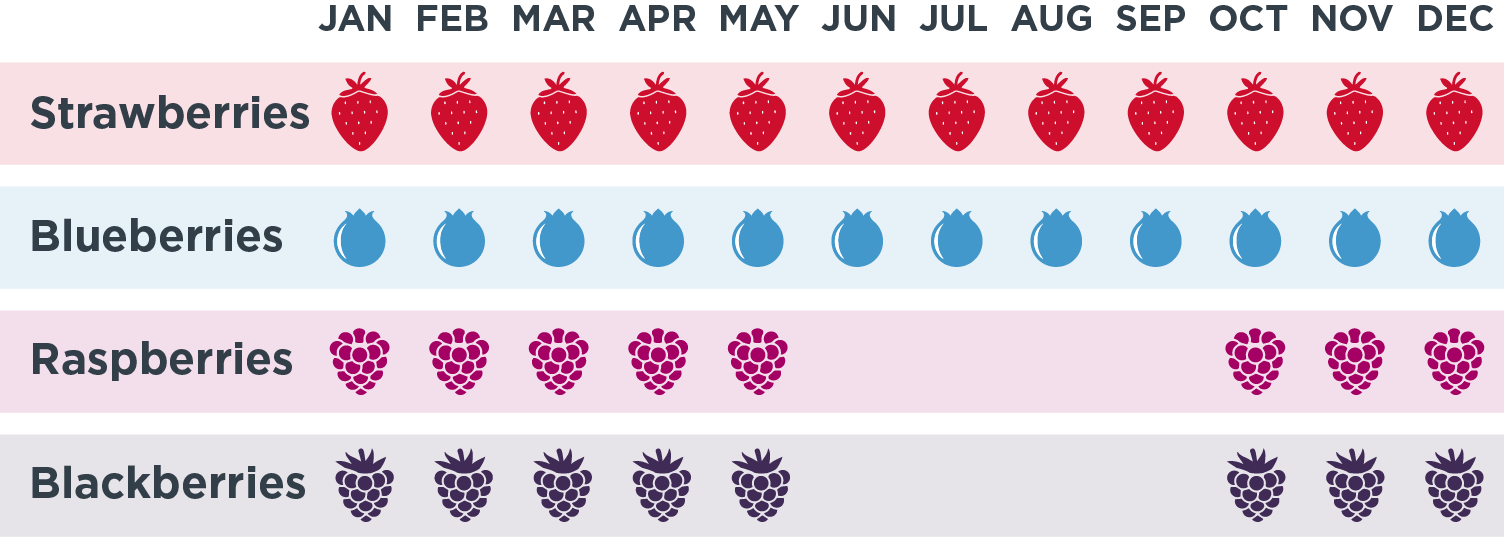 Organic Berries California Giant Berry Farms