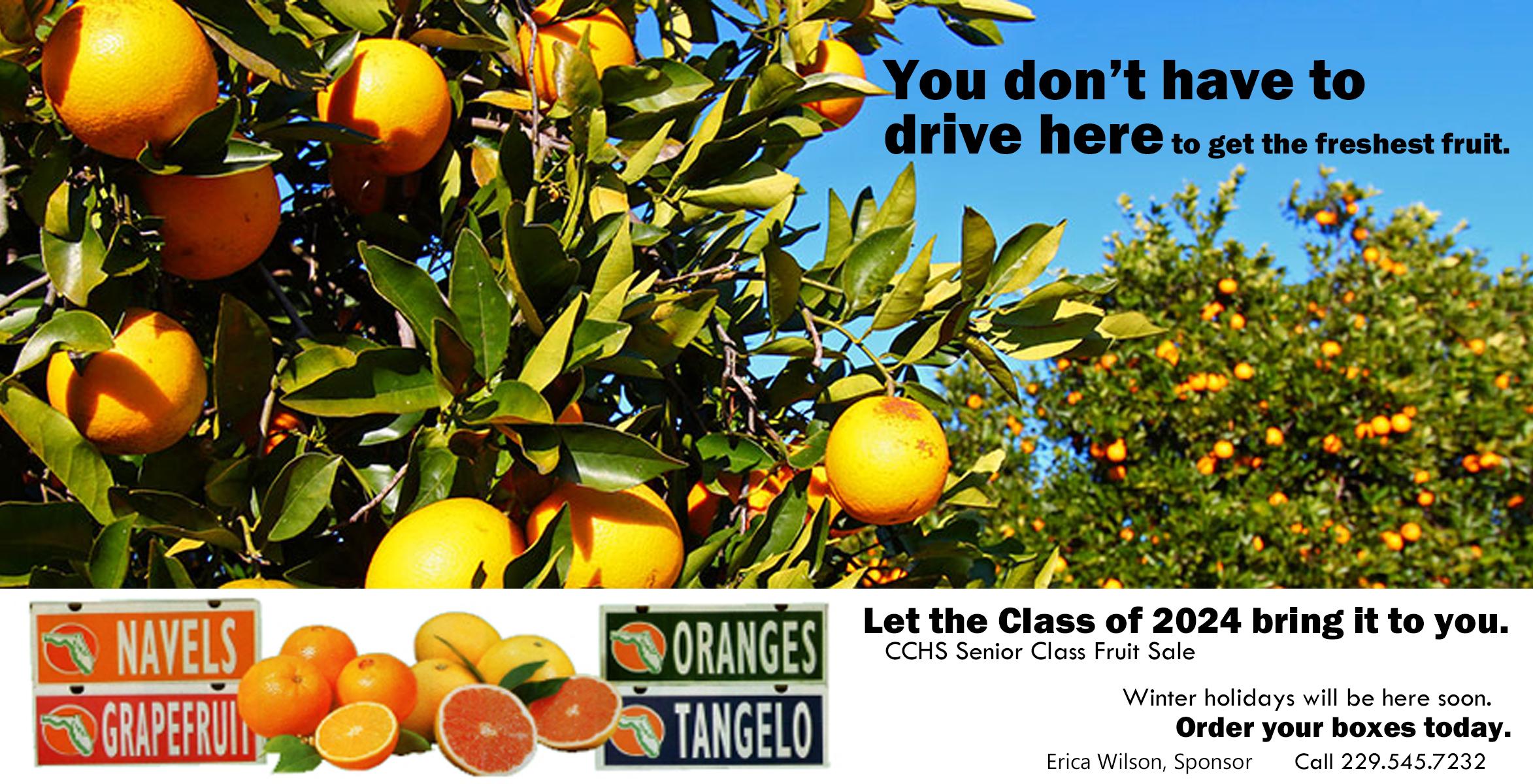 Satsuma School Calendar 2024 Cammy Corinne