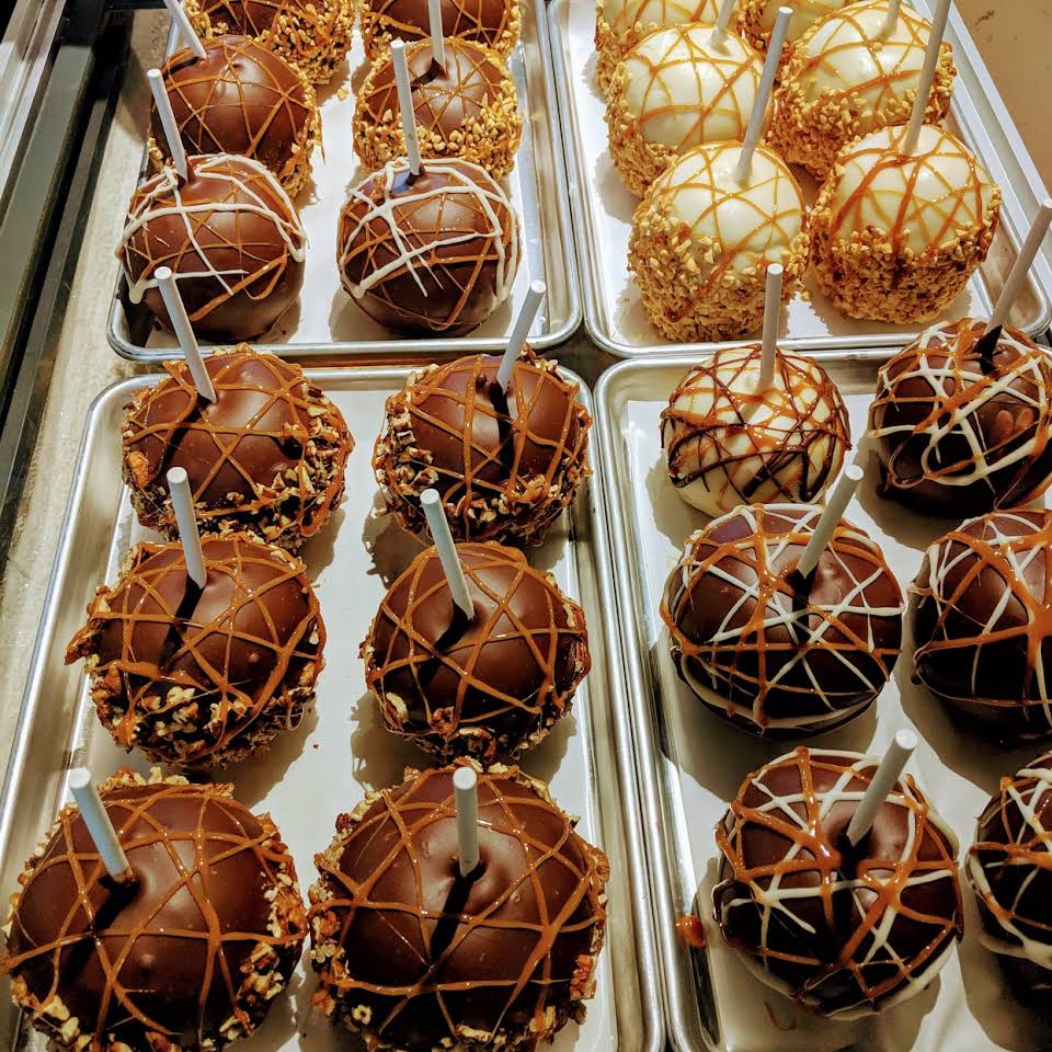 Dugger Mountain Fudge and Coffee Company Calhoun County Insight